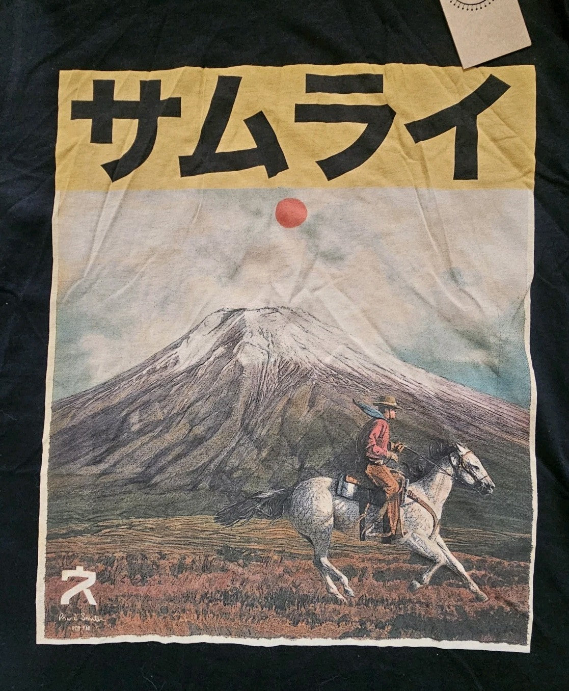 47289204