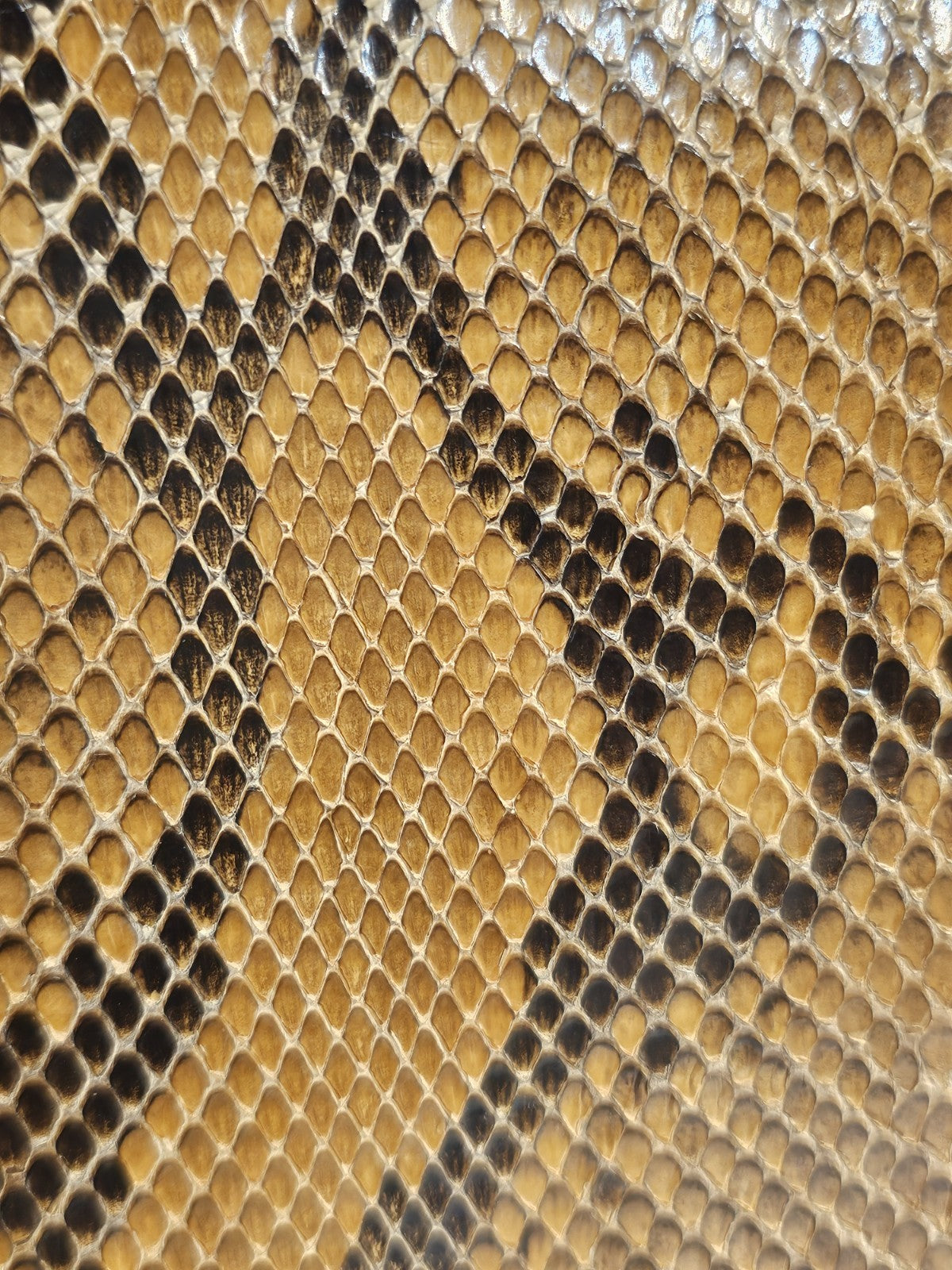 47037388