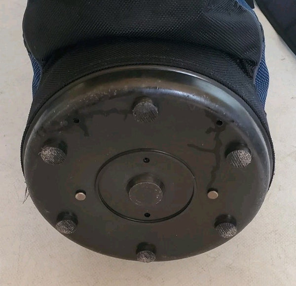 44550356