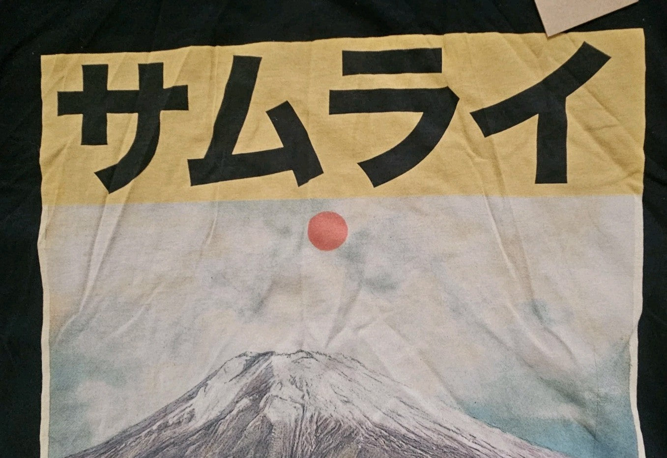 47289204