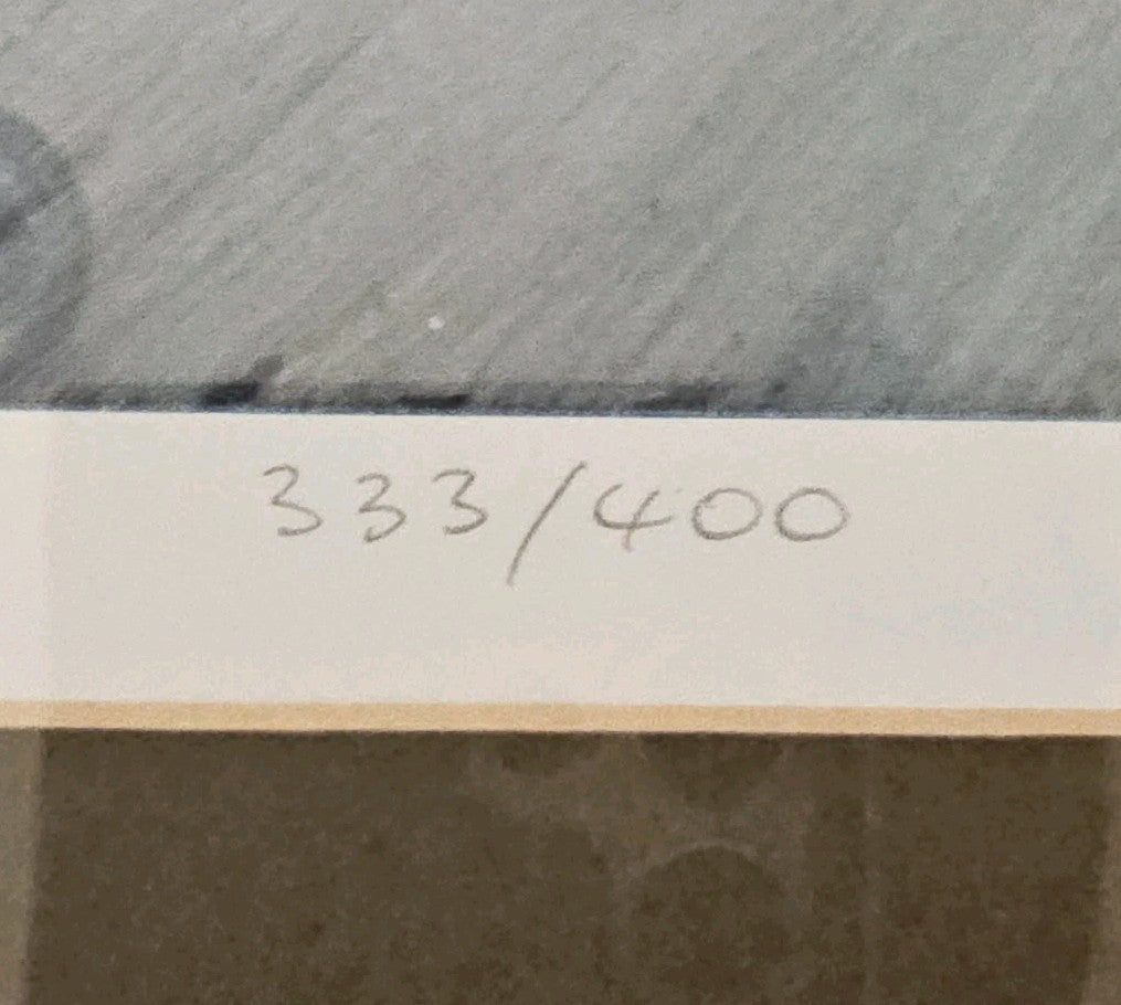 45510494