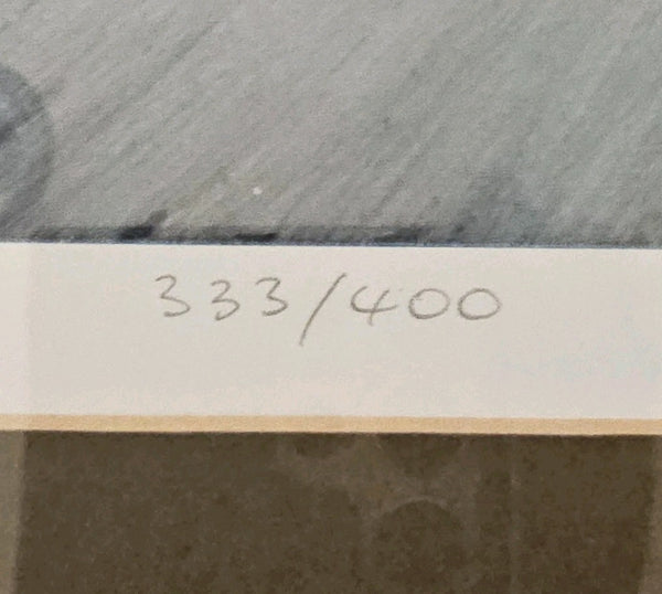 45510494