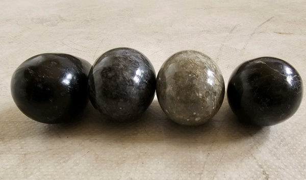 45530290