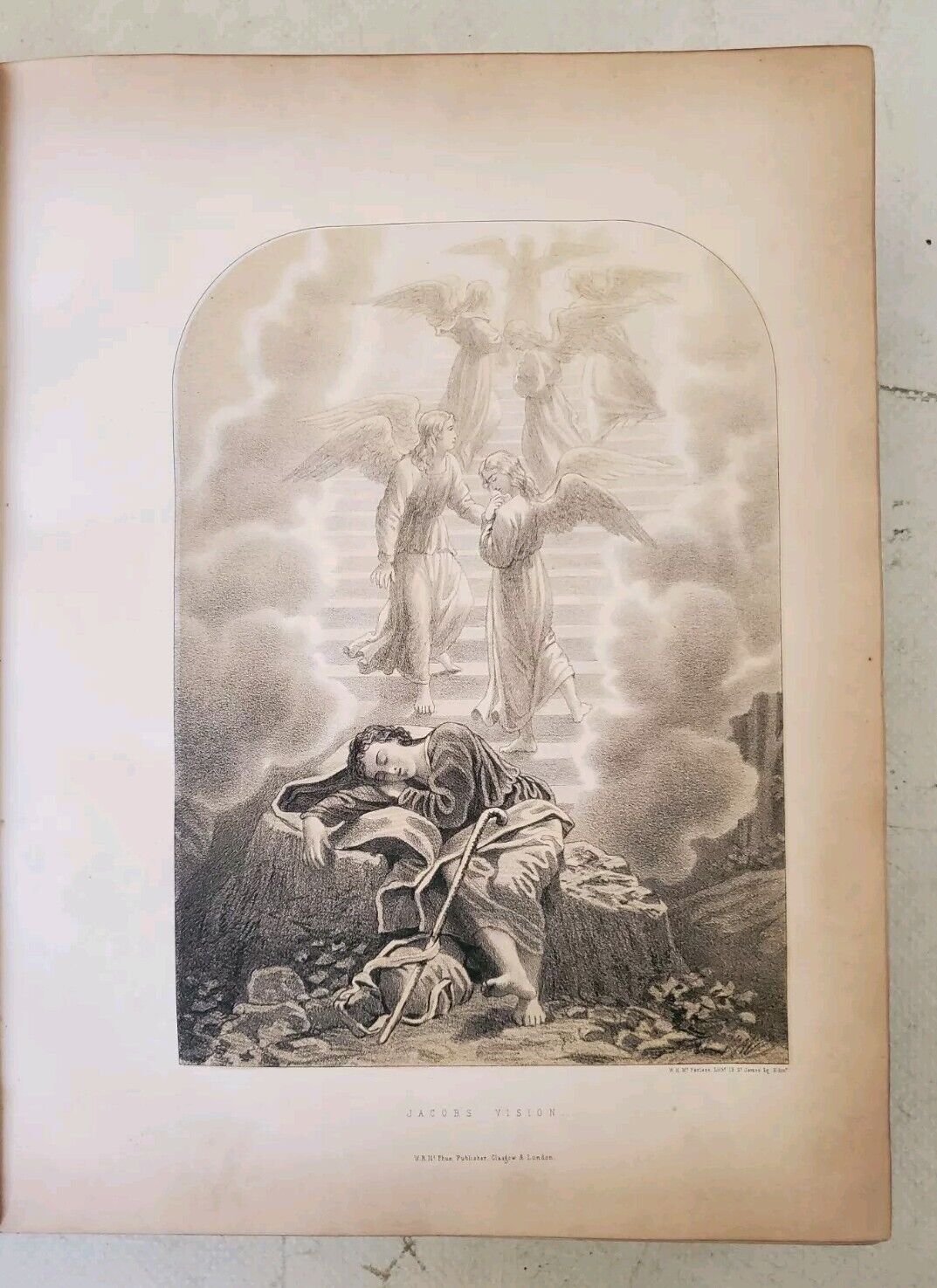 44291614