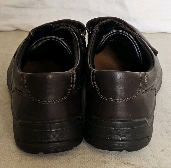 45513677