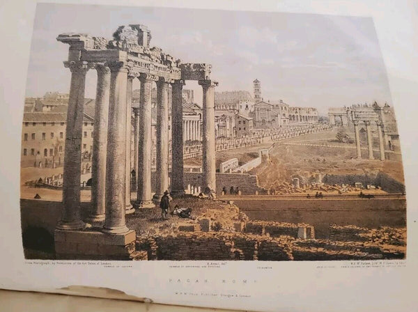 44291614