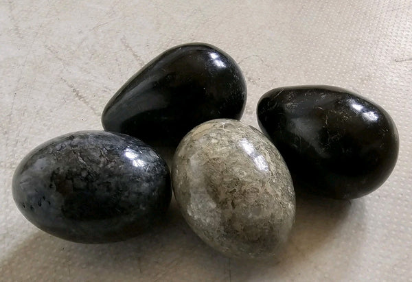 45530290