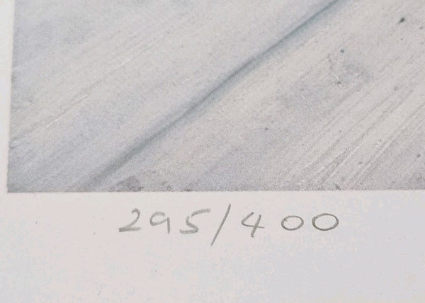 45510493