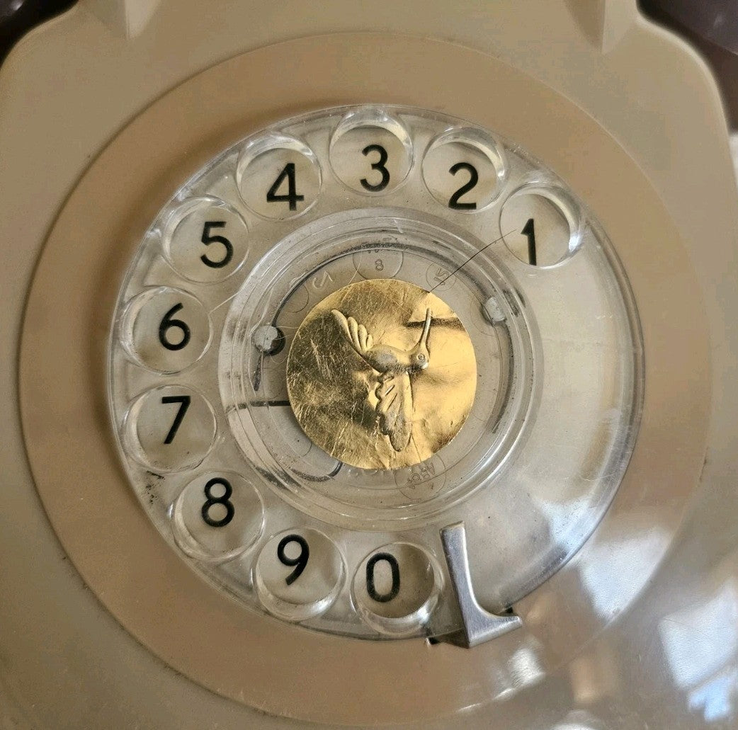 47556699