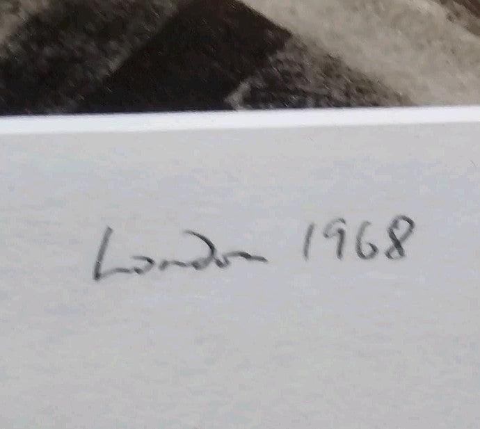 45344233