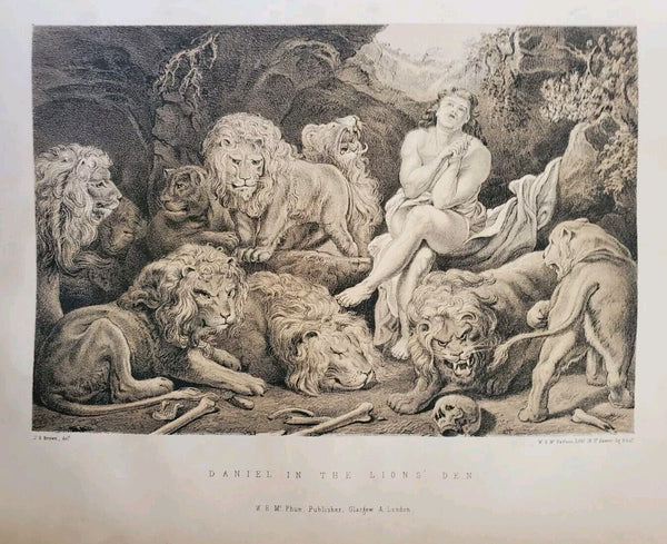 44291614