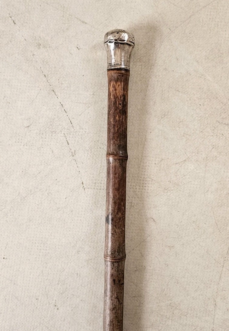 46123253