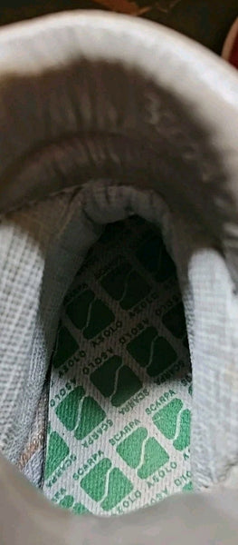 45295405