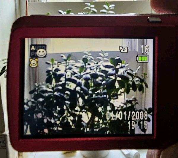 47365047