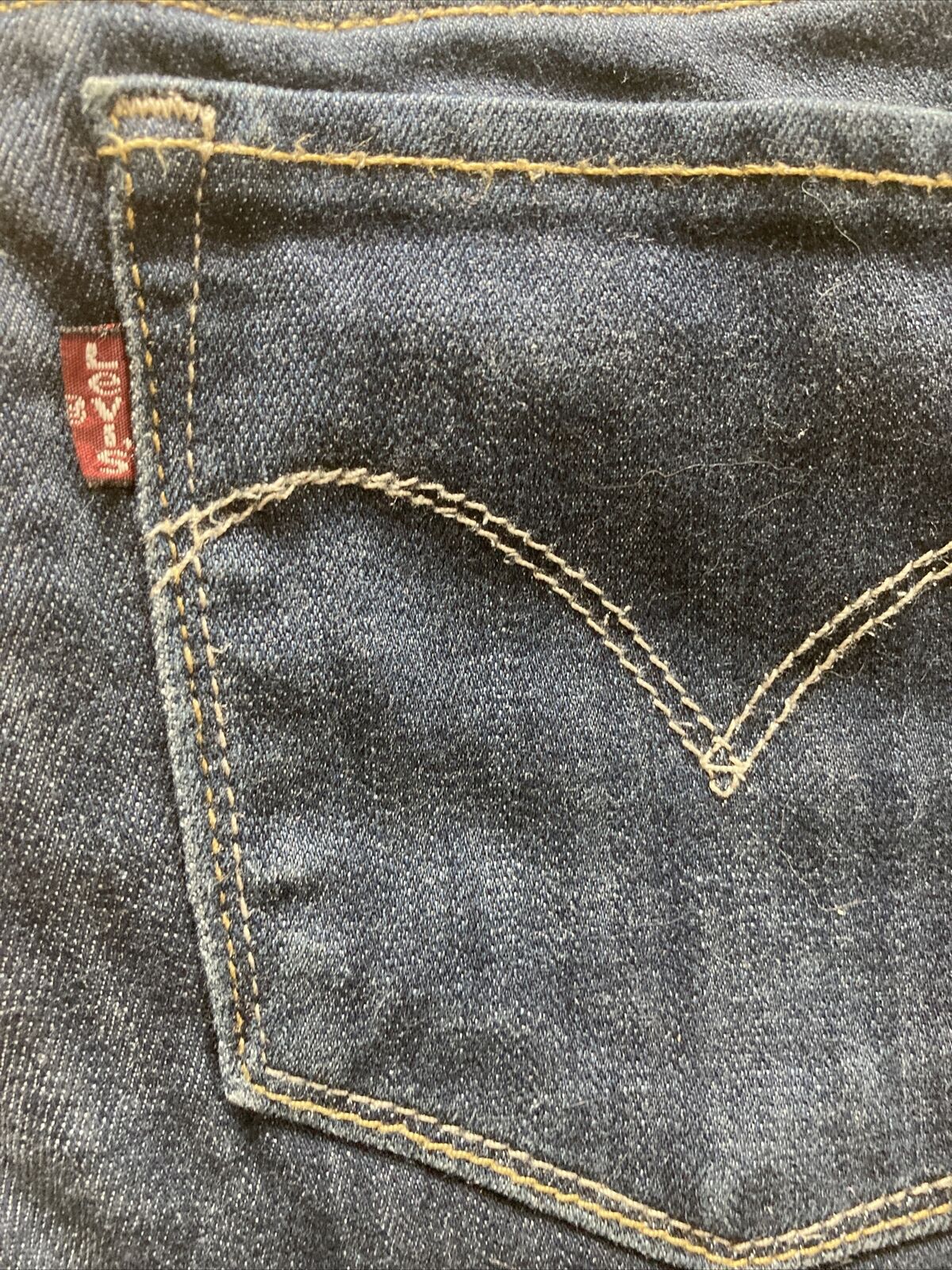 44419584