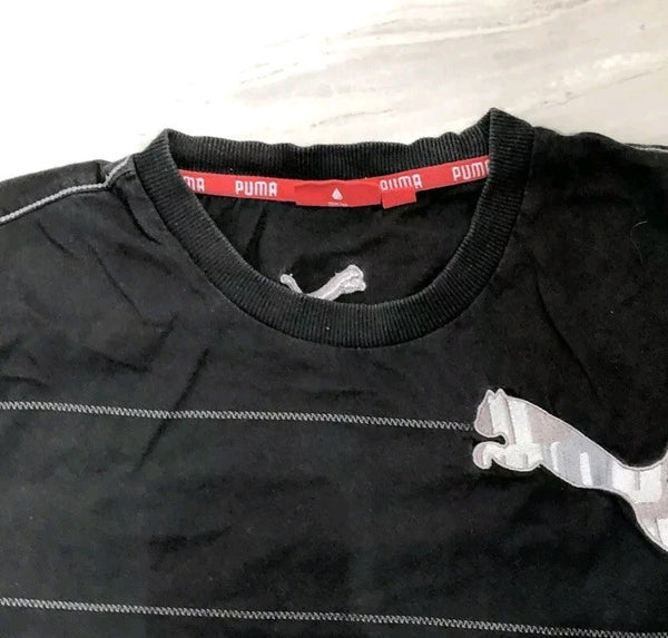 44693267