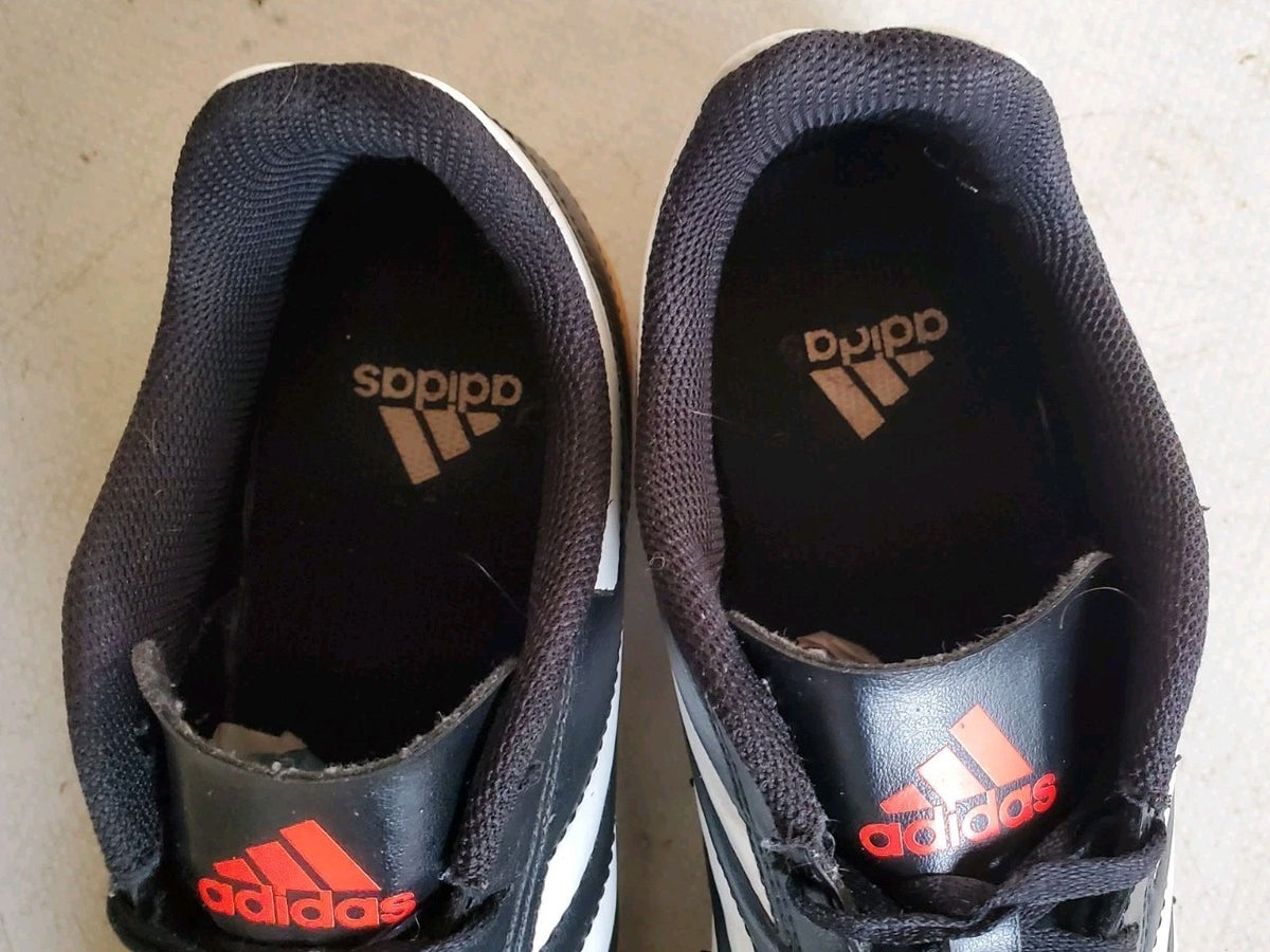 44295091